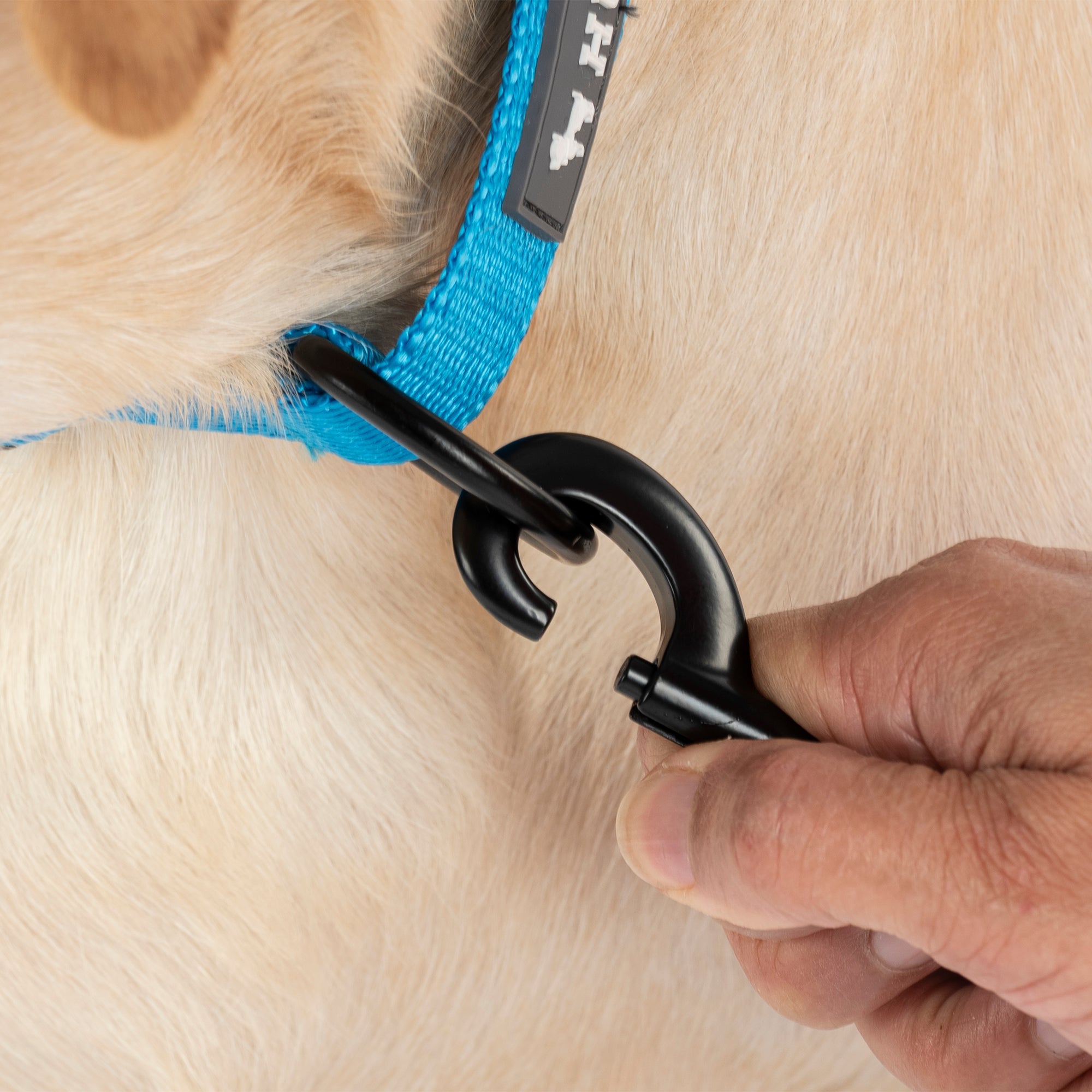 HUFT Classic Leash for Dogs (Ocean Blue) image 6