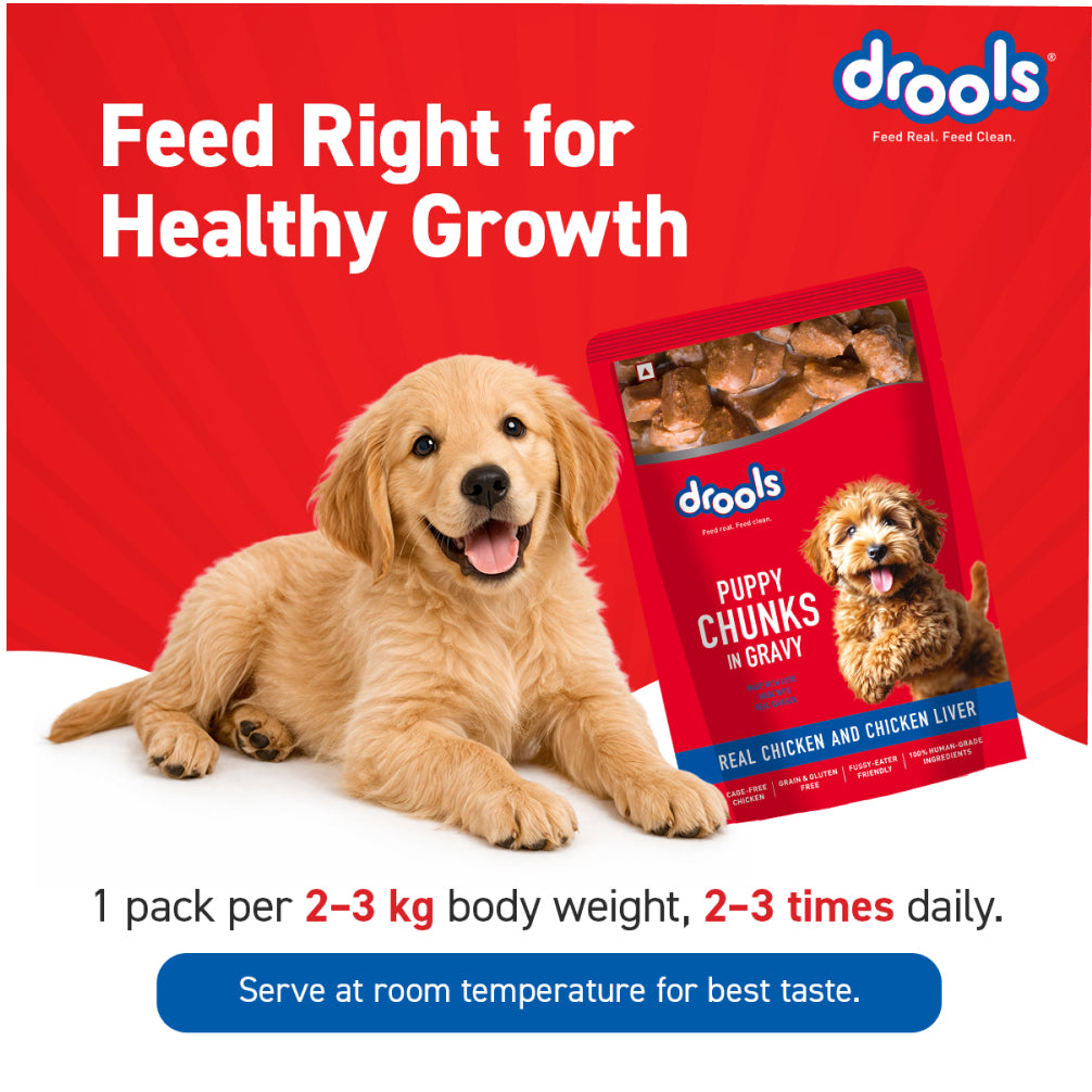 Drools Real Chicken & Chicken Liver Chunks in Gravy Puppy Dog Wet Food image 5