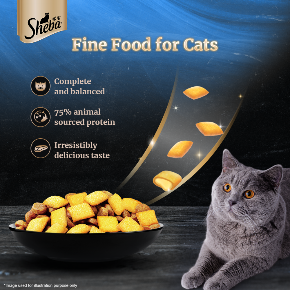 Sheba Salmon Flavour Irresistible All Life Stages Cat Dry Food image 4