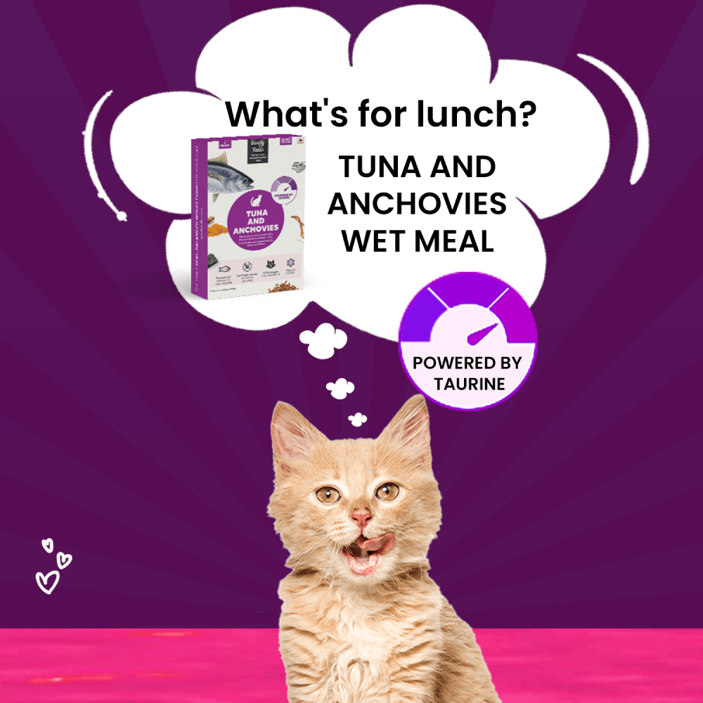 Goofy Tails Tuna and Anchovies Cat Wet Food image 4