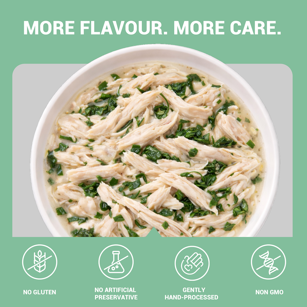 Schesir Chicken & Rice with Spinach in Jelly Dog Wet Food image 3
