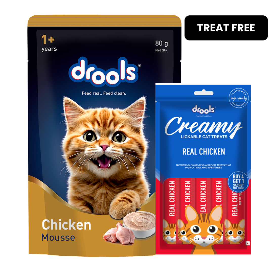Drools Chicken Mousse Adult Cat Wet Food image 2