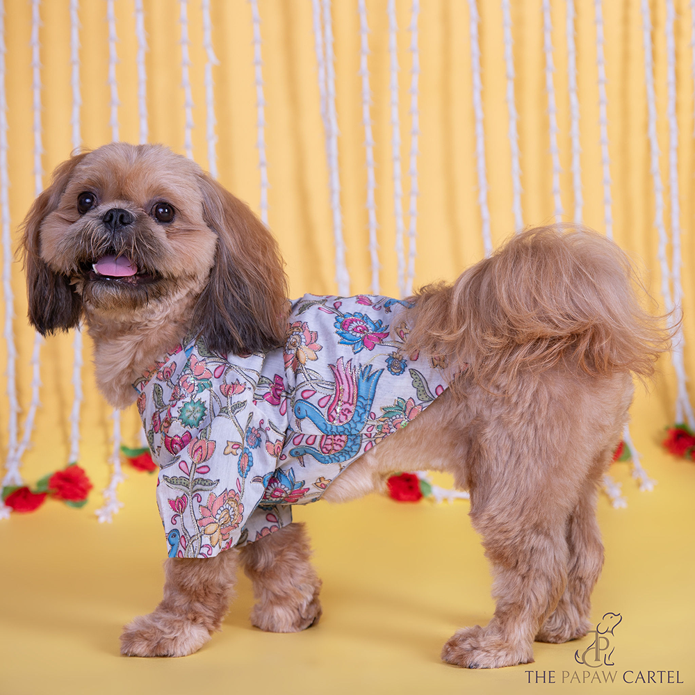 The Papaw Cartel Kalamkari Print Classic Kurta with Zari for Dogs & Cats