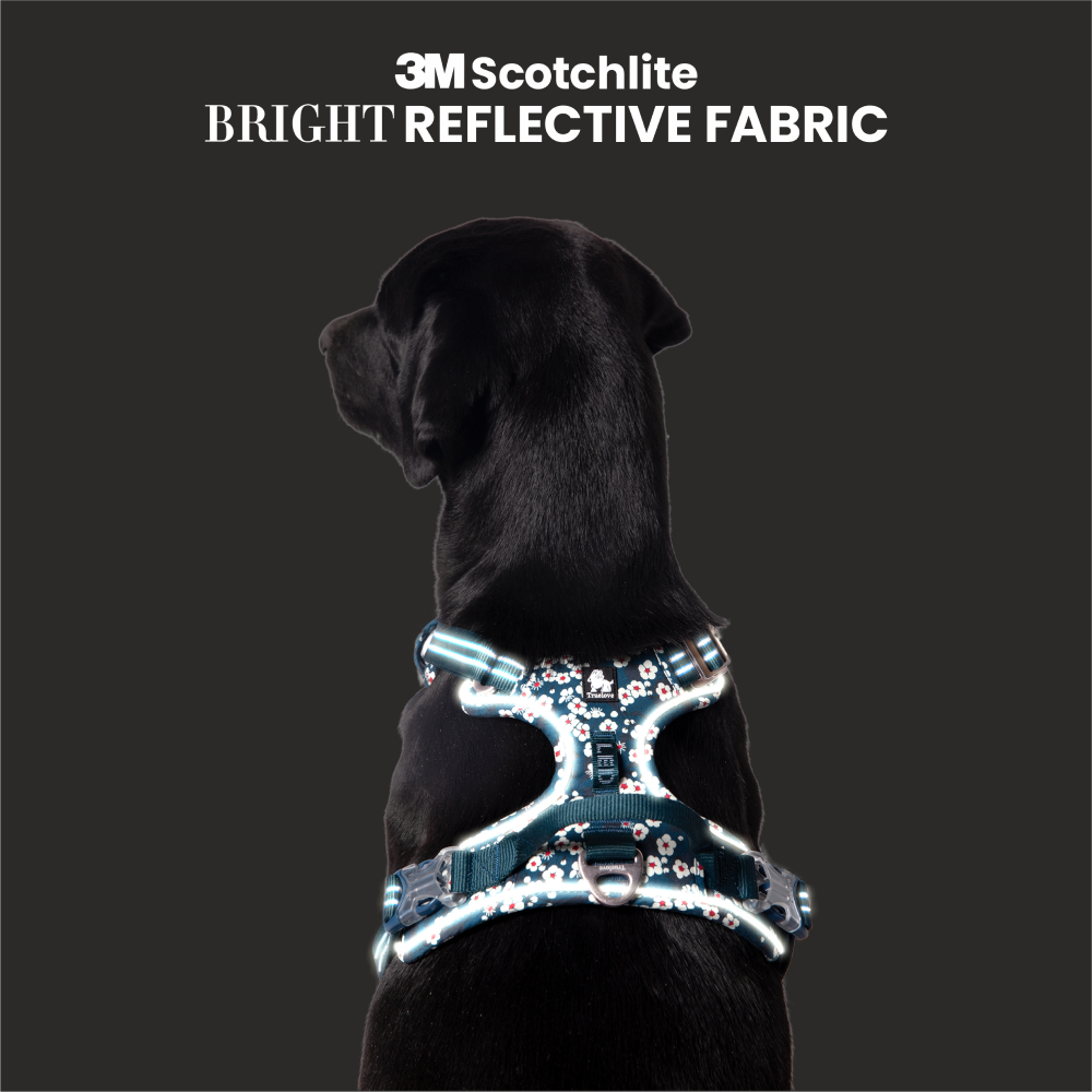 Truelove Floral No Pull 3M Reflective Harness for Dogs (Saxony Blue) image 5