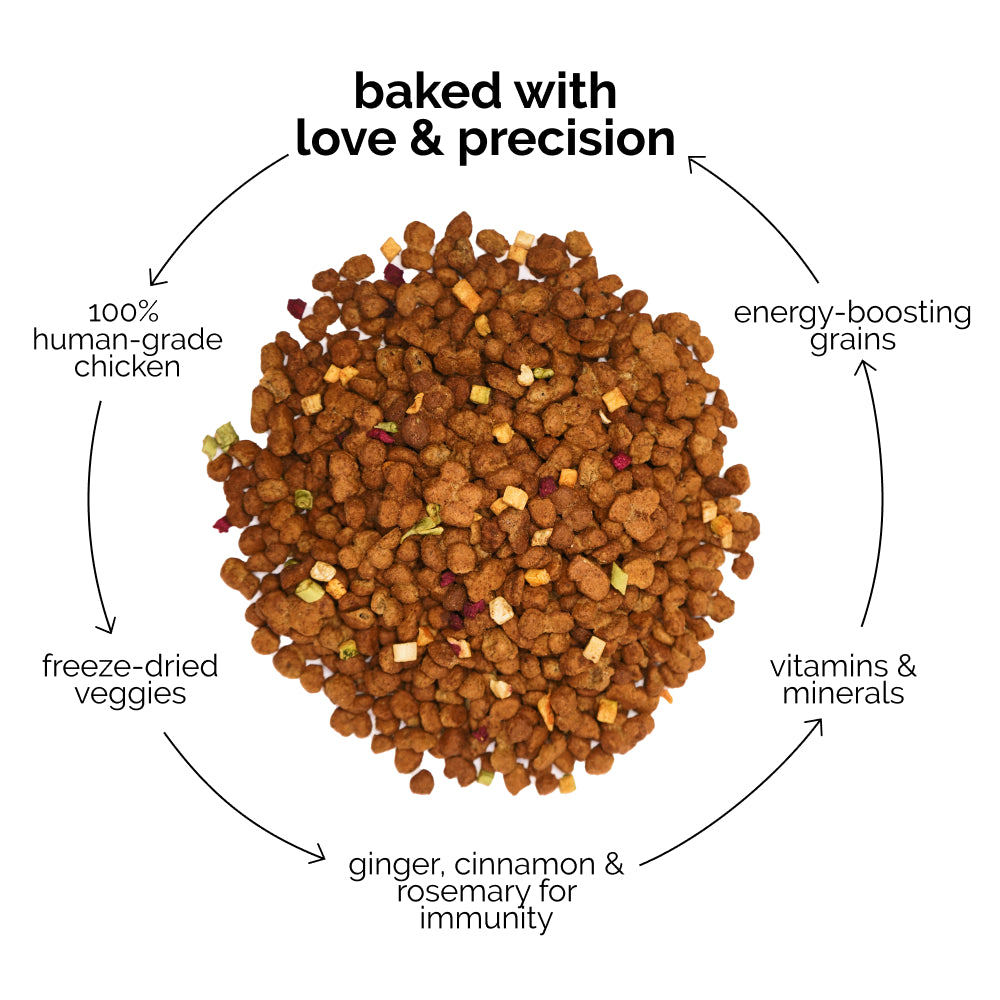 Henlo Chicken & Vegetable Baked Dry Food for Adult Dogs | 100% human grade ingredients image 4