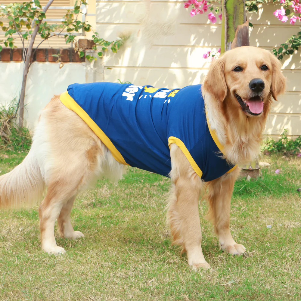Pet Set Go Play Hard Nap Harder T Shirt for Dogs (Blue) image 2