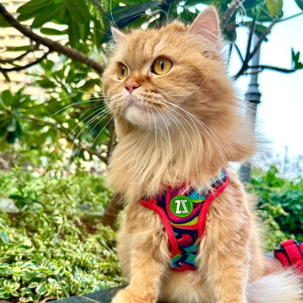 Zoomiez Adjustable Drip Printed Soft Mesh Harness for Cats image 4