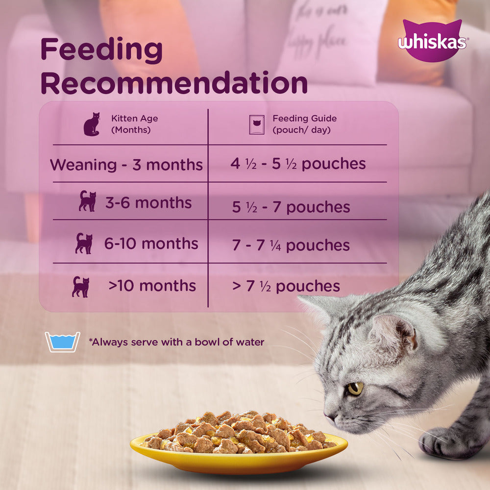 Whiskas Chicken in Gravy Kitten (2-12 Months) Cat Wet Food image 4