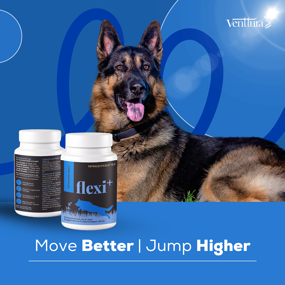 Venttura Flexi Plus Hip and Joint Chewable Tablets for Dogs image 5