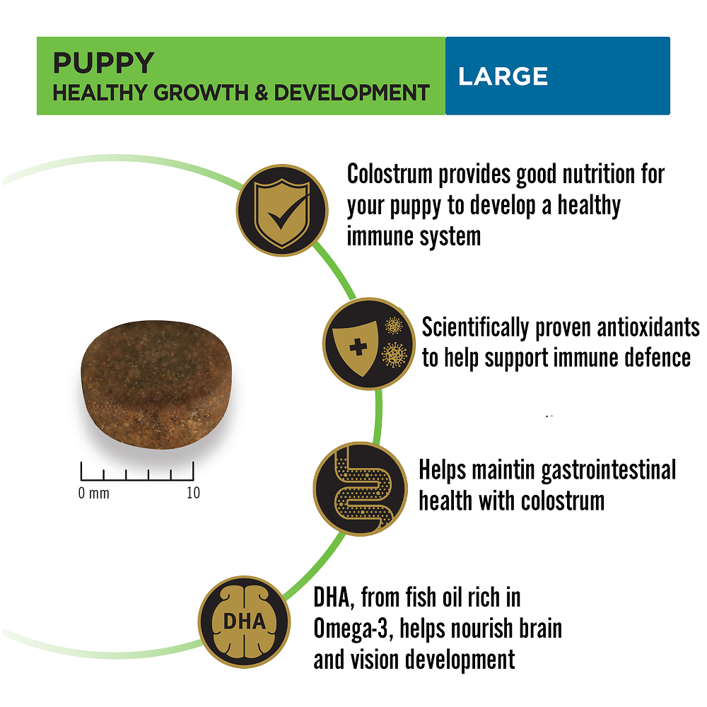 Pro Plan Chicken Large Breed Puppy Dog Dry Food (New Improved Formula) image 9