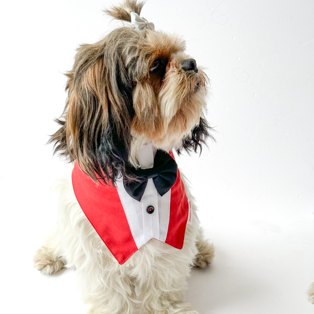 Pawgypets Formal Tux Bandana for Dogs and Cats (Red) image 2