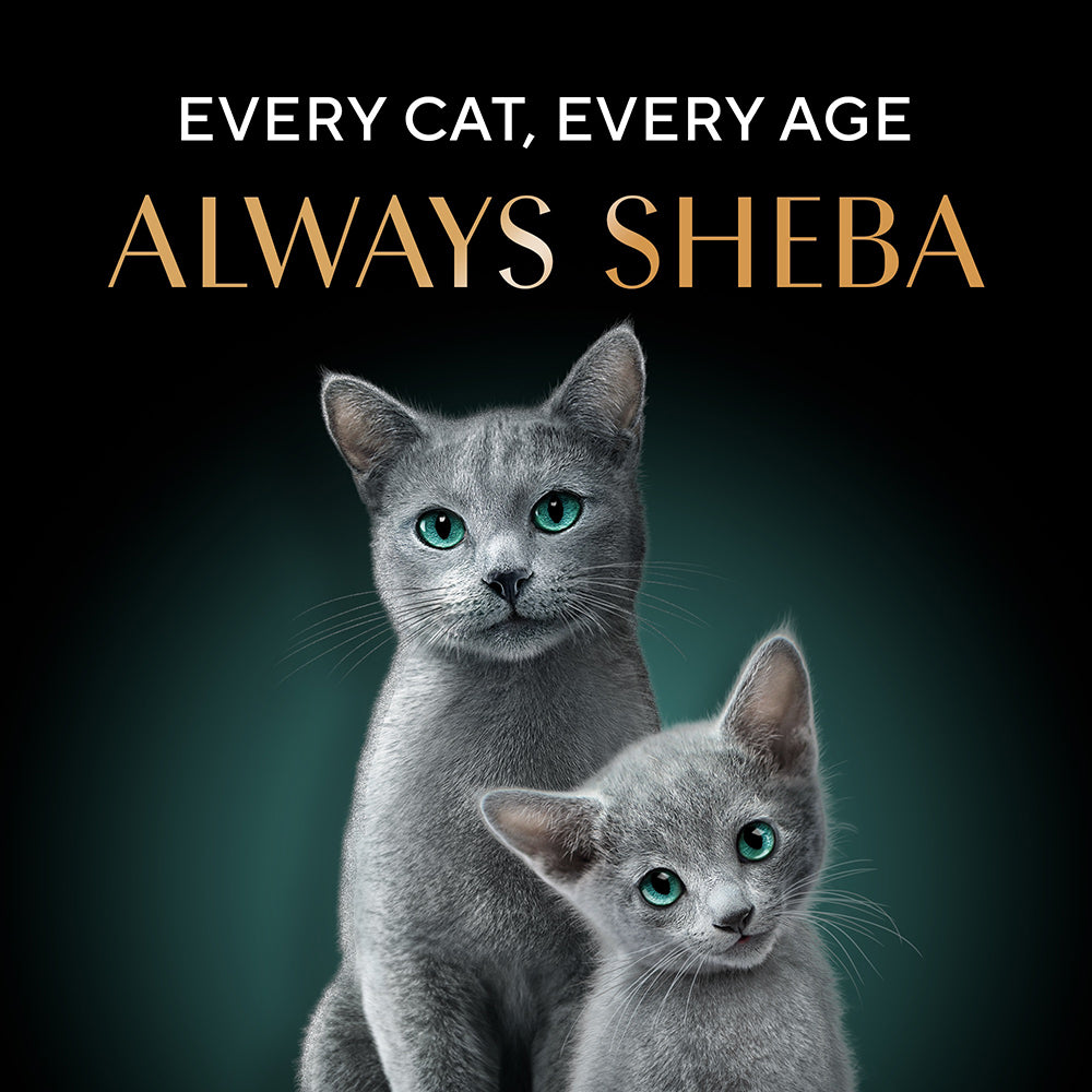 Sheba Maguro & Bream Fish Mix Premium Cat Wet Food image 8