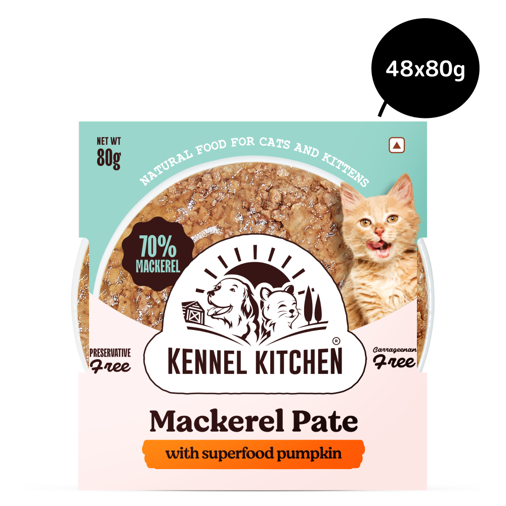 Kennel Kitchen Mackerel Pate with Superfood Pumpkin Cat Wet Food image 3