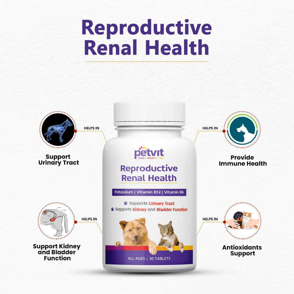 Petvit Reproductive Renal Health Tablet for Dogs and Cats image 4