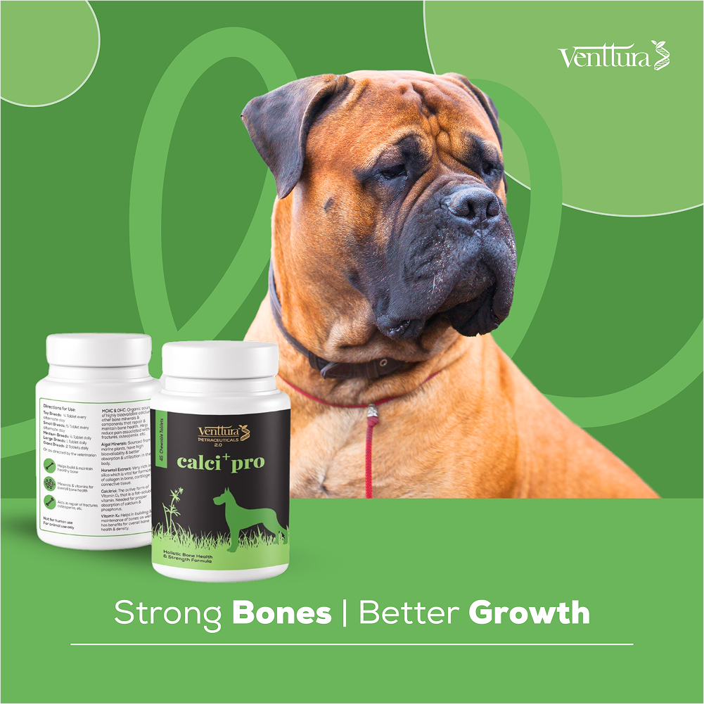 Venttura Calci Pro Plus Chewable Calcium Supplement Tablets for Dogs image 7
