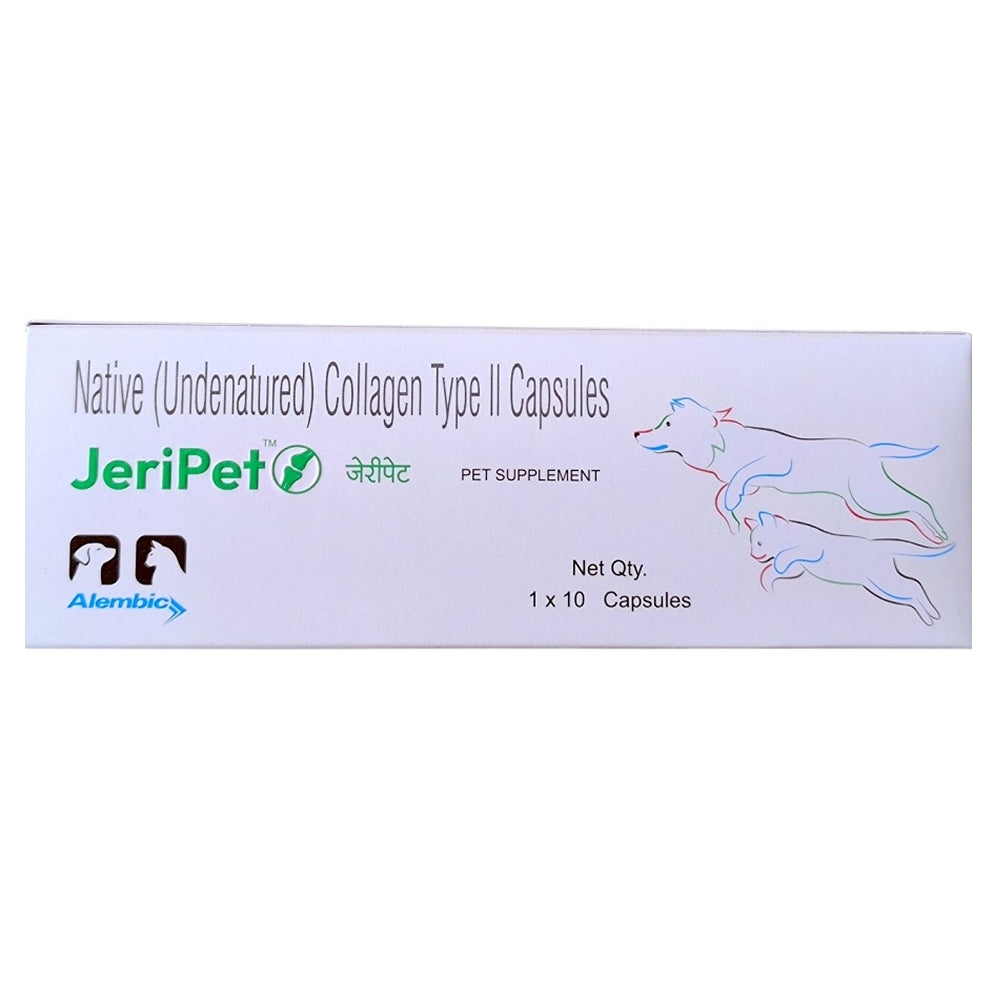 Alembic Jeri Pet Capsule Joint Health Supplement for Dogs and Cats image 2