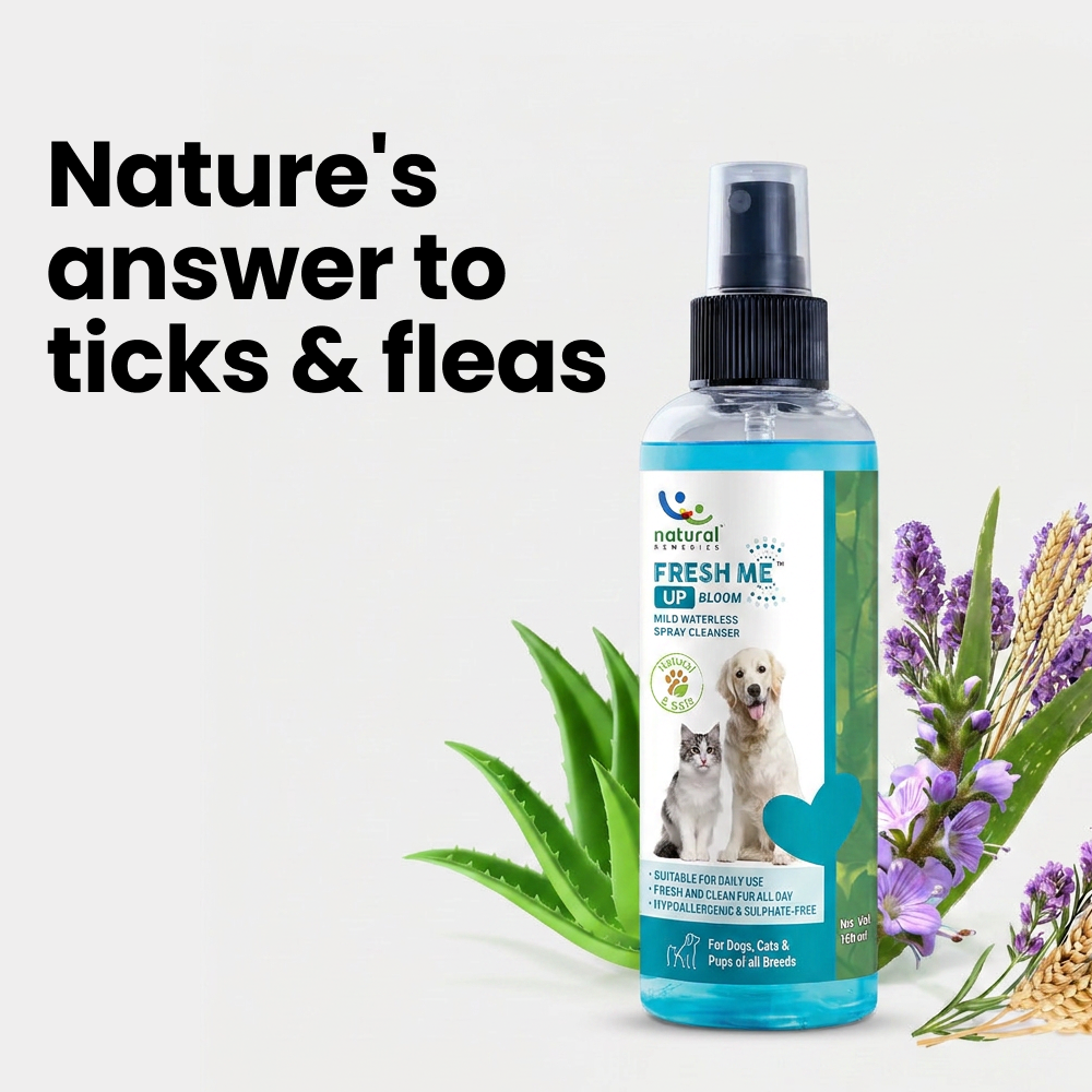 Natural Remedies Fresh Me Up Bloom Dry Shampoo for Dogs and Cats image 3