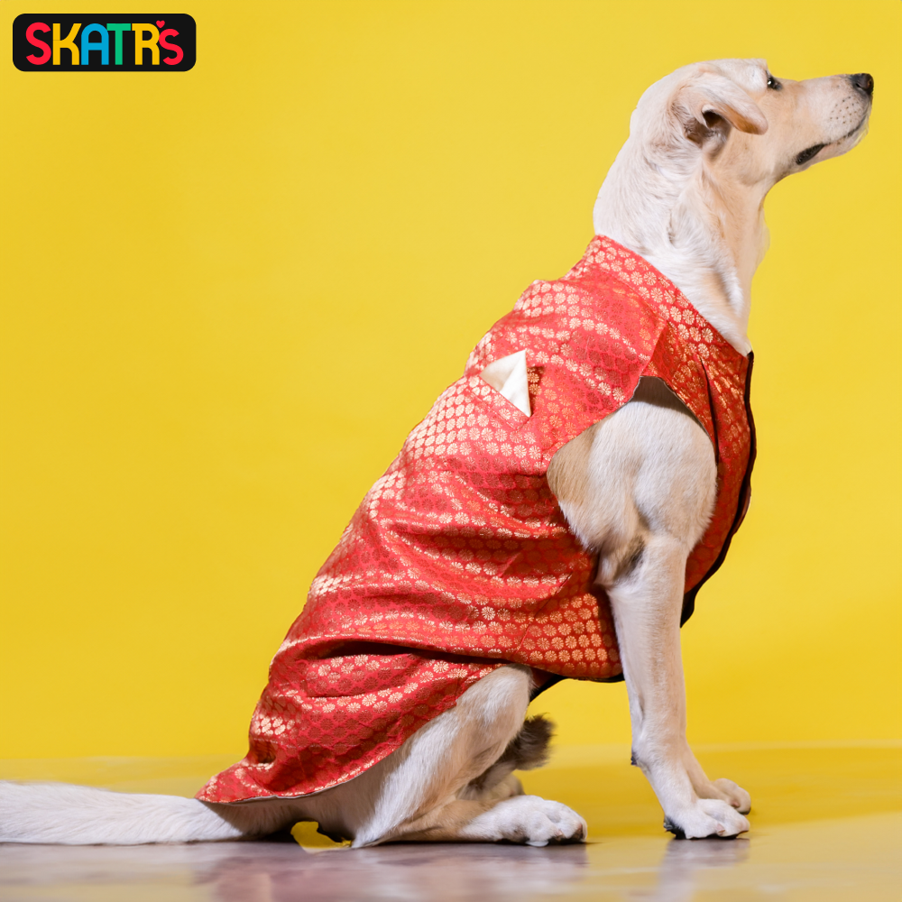 Skatrs Brocade Gold Printed Sherwani for Dogs and Cats (Red) image 10