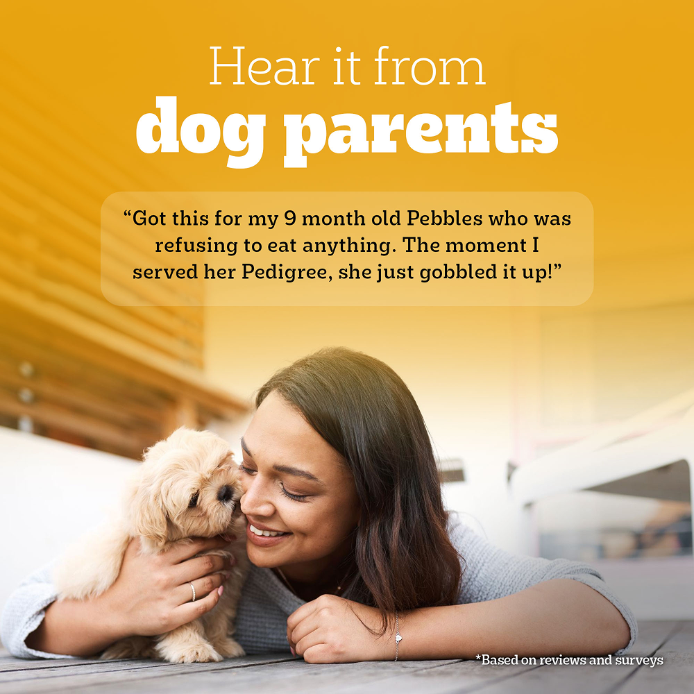 Pedigree Chicken and Milk Puppy Dry Food image 10