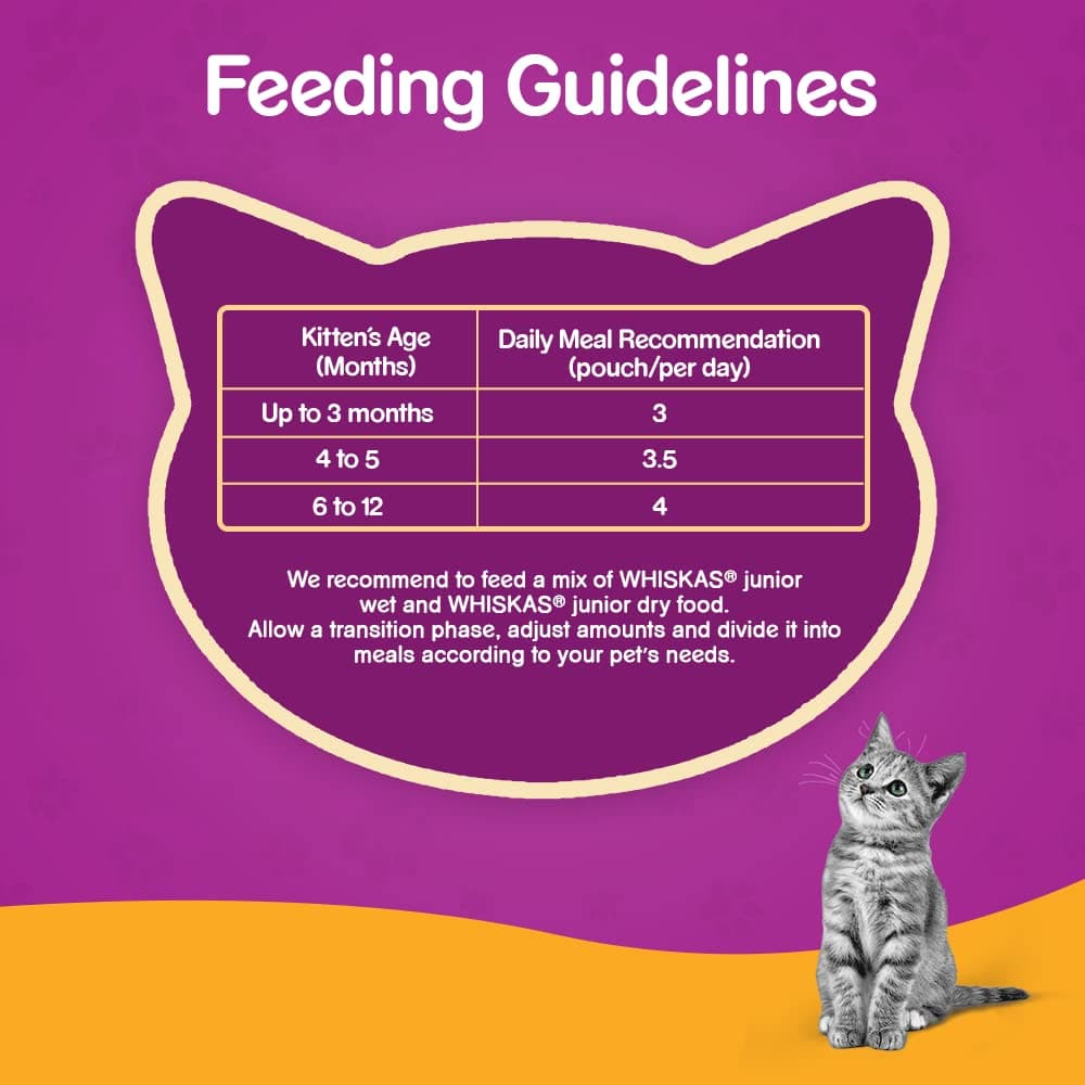 Whiskas Chicken in Gravy Meal Kitten Wet Food and Ocean Fish Kitten Dry Food Combo image 7
