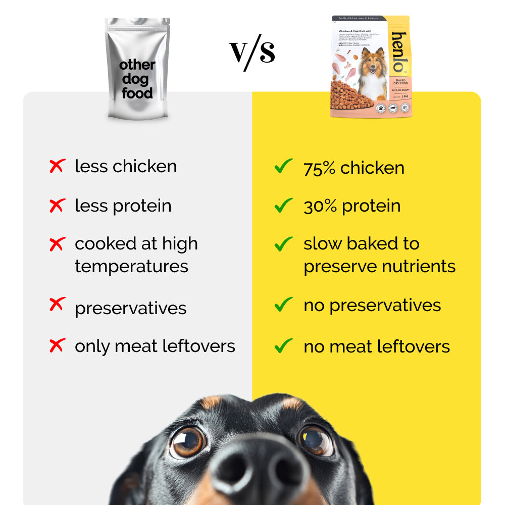 Henlo Chicken and Egg Baked Dry Food for Adult Dogs & Puppies | 100% Human Grade Ingredients image 7