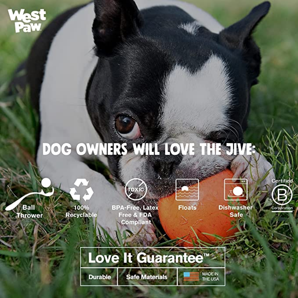 West Paw Design Jive for Dogs (Green) image 4