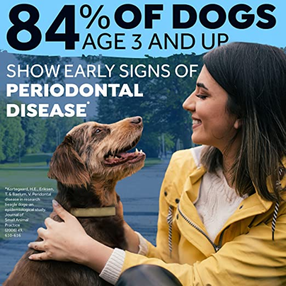 Tropiclean Fresh Breath Digestive Support Water Additive for Dogs image 2