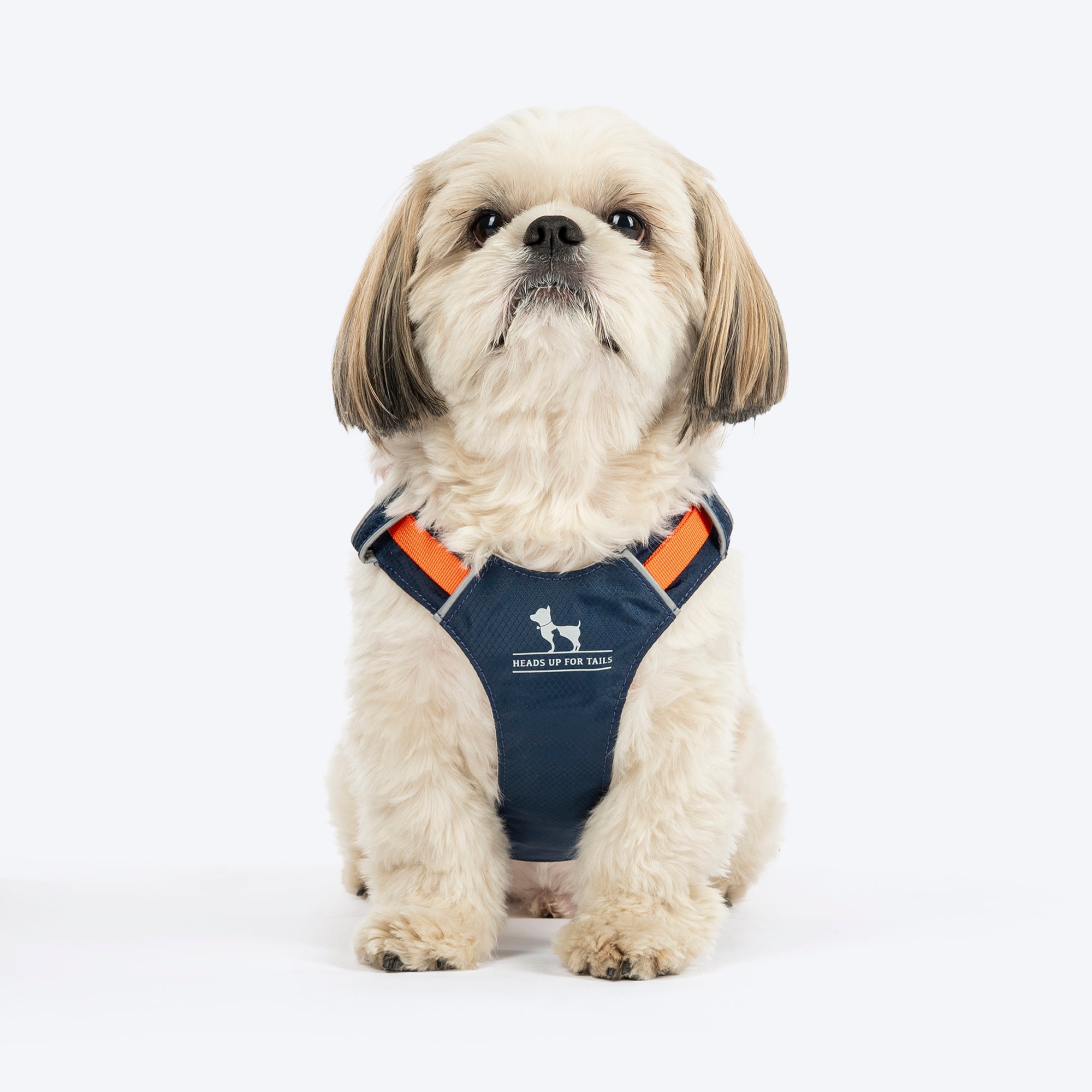 HUFT Walkmate Harness for Dogs (Navy)