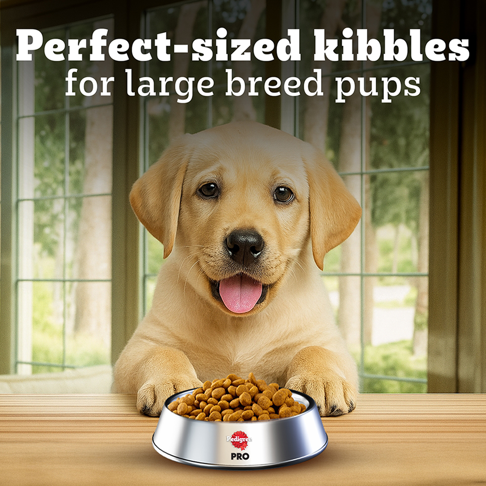 Pedigree PRO Expert Nutrition for Large Breed Puppy (3 to 18 Months) Dog Dry Food image 7