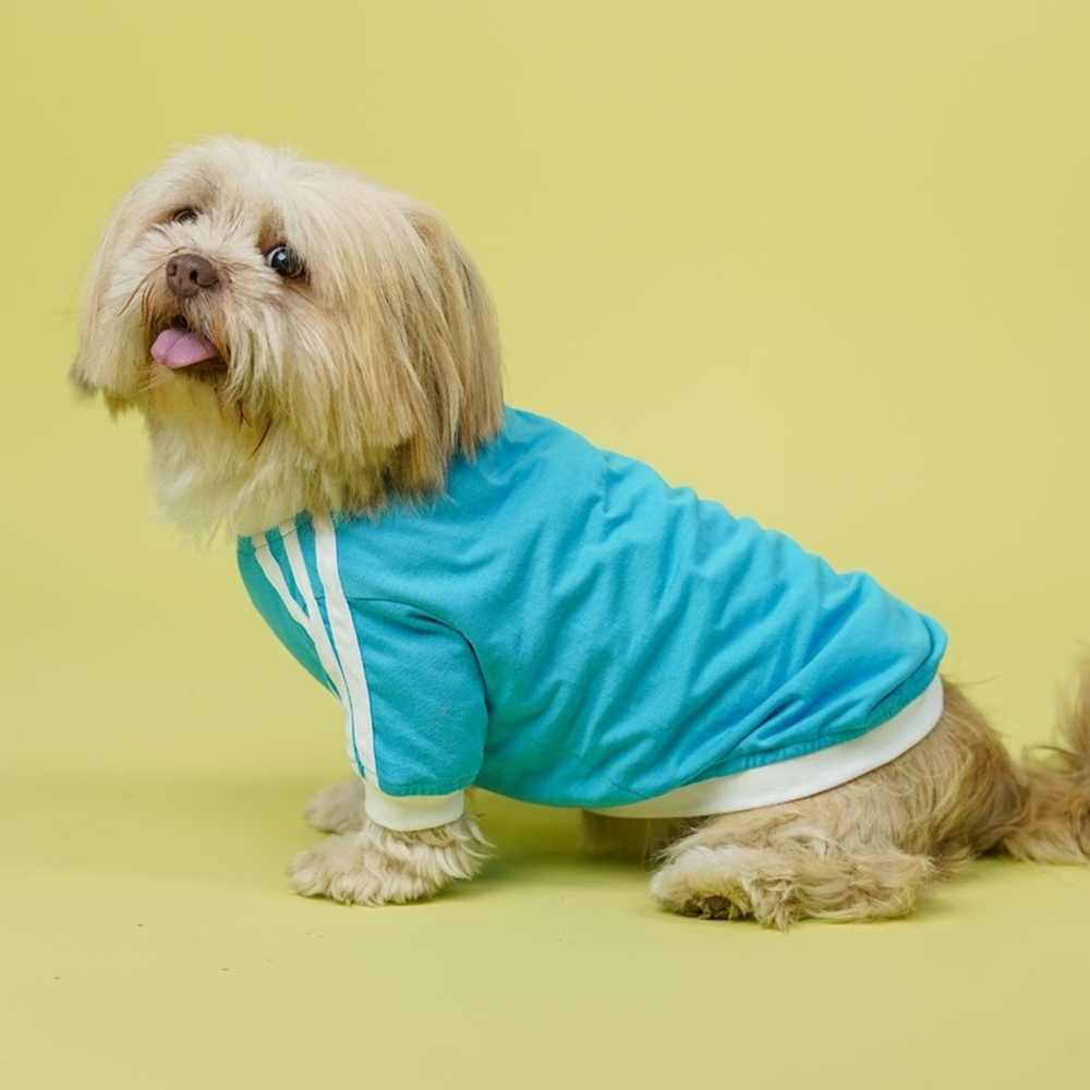 Pets Way Dive In Stripes Tshirt for Dogs (Ocean)
