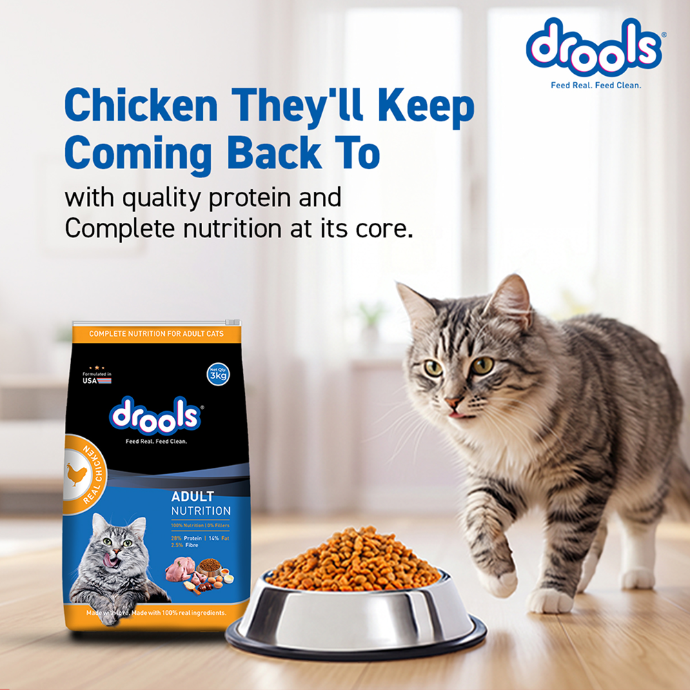 Drools Real Chicken Adult Cat Dry Food image 6