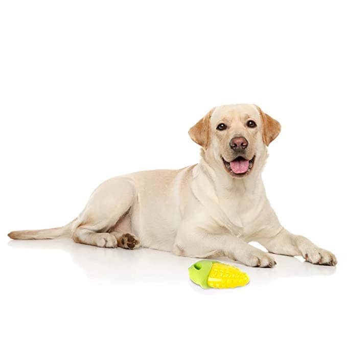 Barkbutler x Fofos Vegi Bites Corn Squeaky Toy for Dogs image 5