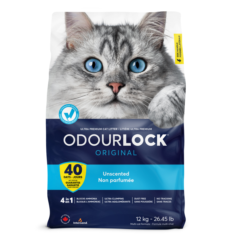 Intersand Unscented Odour Lock Cat Litter image 7