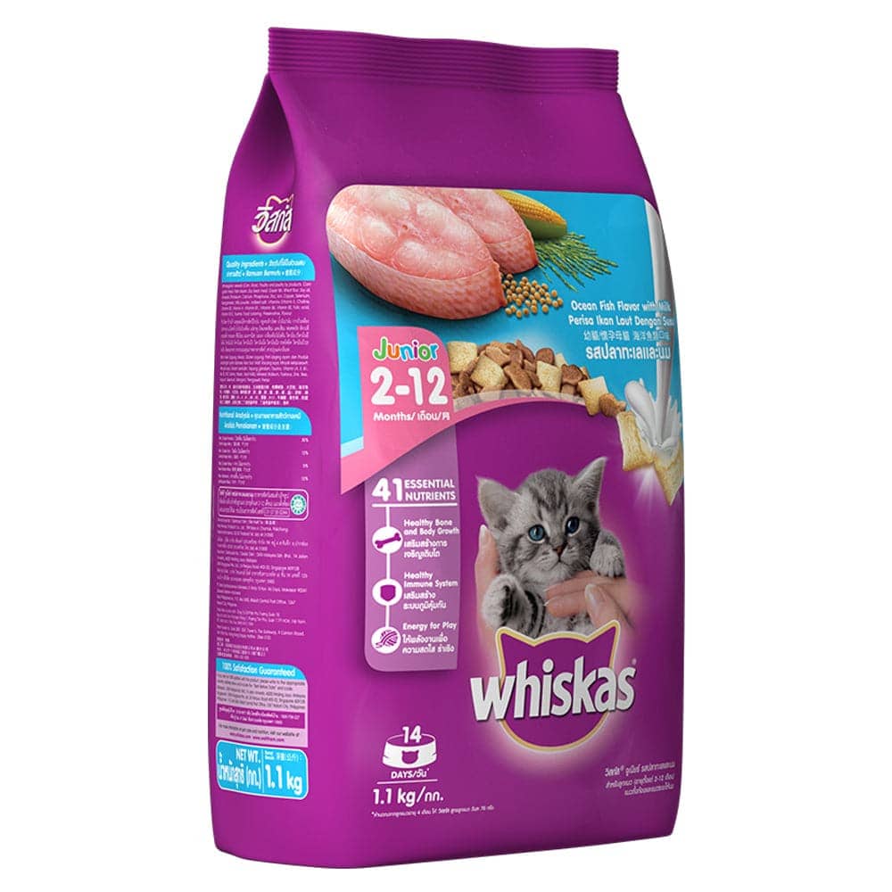 Whiskas Ocean Fish and  Mackerel Flavour Kitten Cat (2 to 12 months) Dry Food Combo image 4