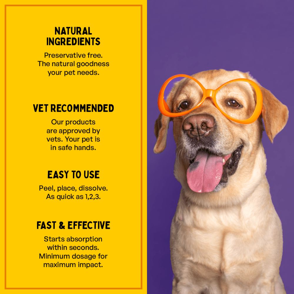Furlicks Skin Coat & Hip & Joint Supplement Combo for Dogs & Cats image 10