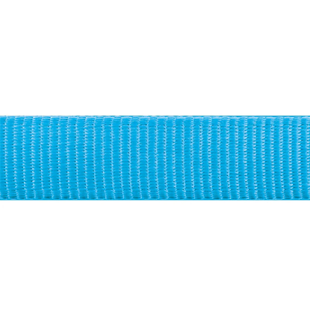 Red Dingo Classic Leash For Dogs (Turquoise) image 4