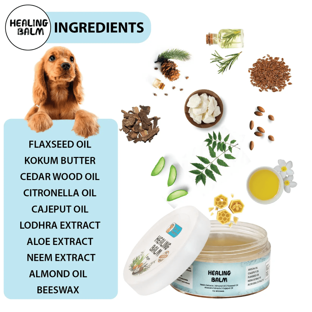 Papa Pawsome 100% Natural Healing Balm for Dog image 6