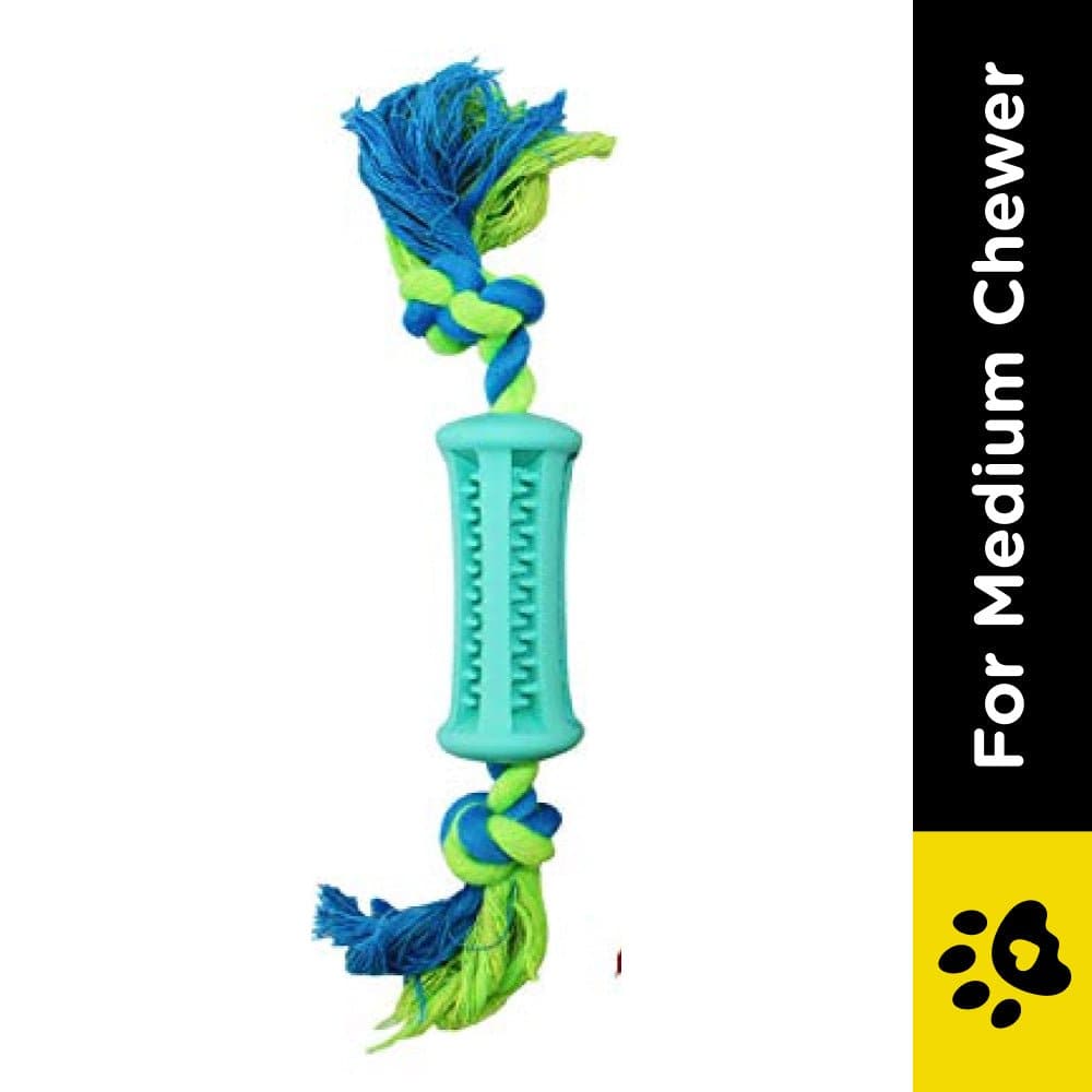 Emily Pets Toothbrush Stick Dental Care Toy with Rope for Dogs (Sky Blue) image 2