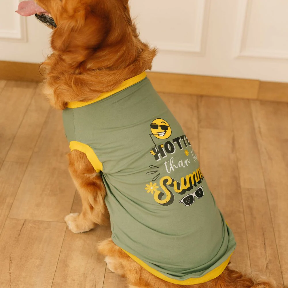 Pet Set Go Hotter Than The Summer Sleeveless T Shirt for Dog (Green) image 2