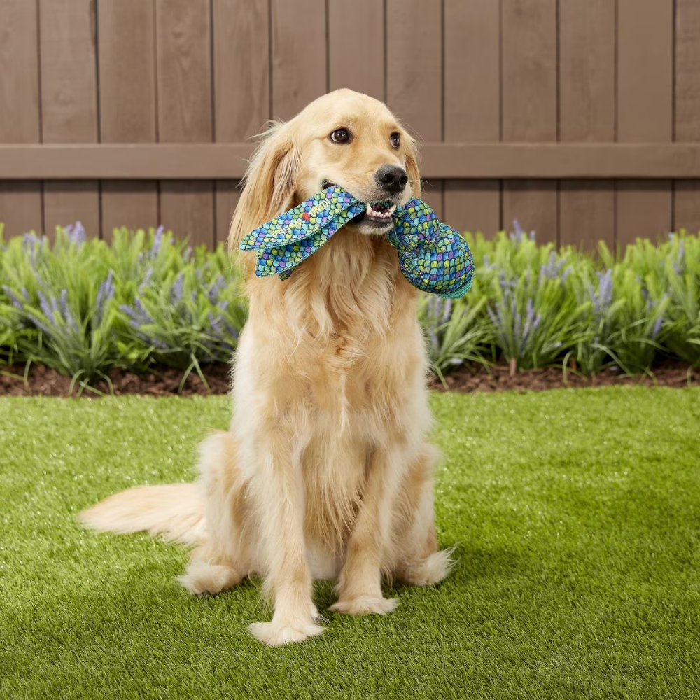 Kong Wubba Finz Toy for Dogs (Blue) | For Medium Chewers image 5