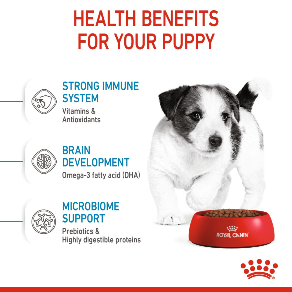 Royal Canin Mini Puppy Dog Dry Food image 5