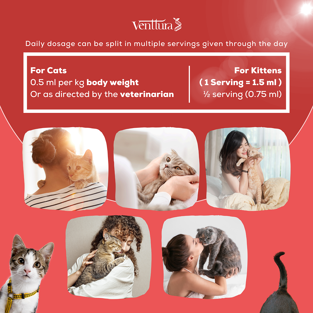 Venttura Immunity Booster & Calming Supplement for Cats image 4