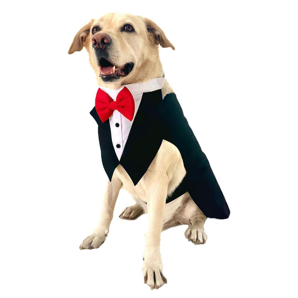 Dogobow Tuxedo Suit for Dogs and Cats (Black) (Get a Bow Free) image 5