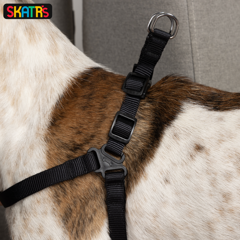 Skatrs Padded Nylon Y Harness for Dogs & Cats (Black) image 4