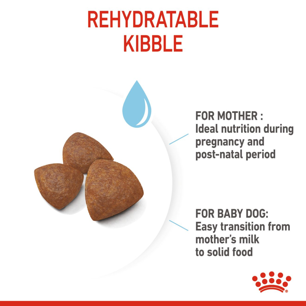 Royal Canin Medium Starter Dry Food for Medium Breed Dog and Puppies image 3