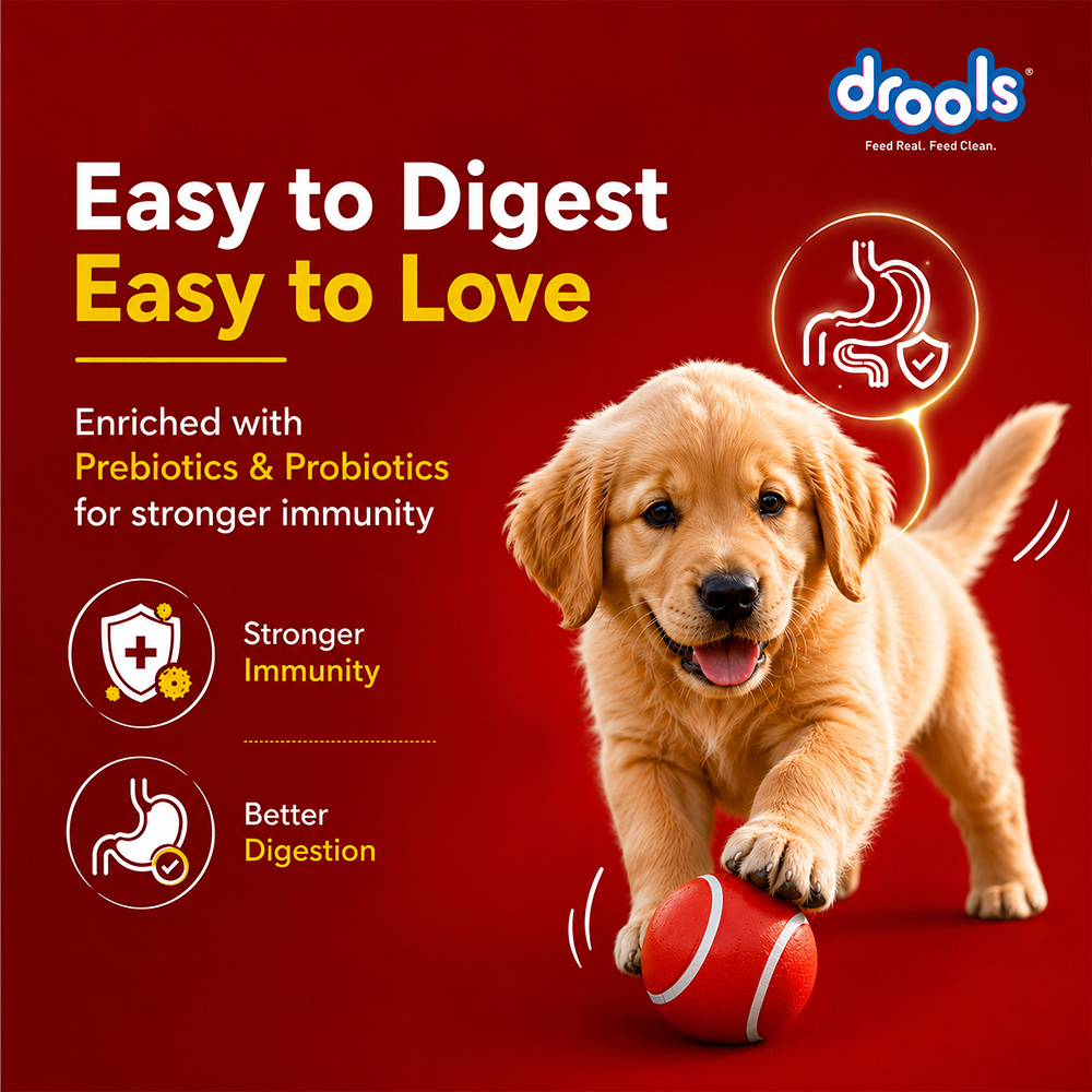 Drools Absolute Milk for Newborn Puppies image 5