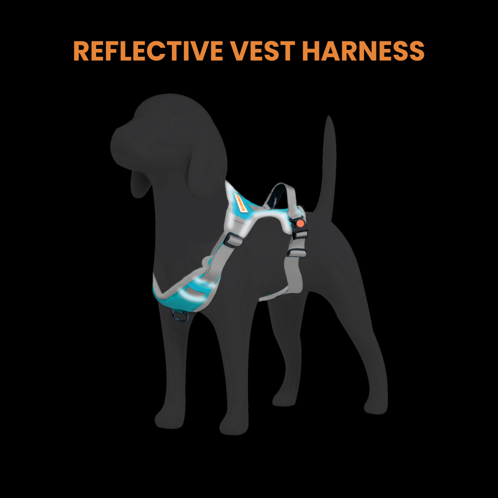 Kibbo Reflective Vest Harness with Dual Lock Buckle for Dogs (Sea Green) image 5