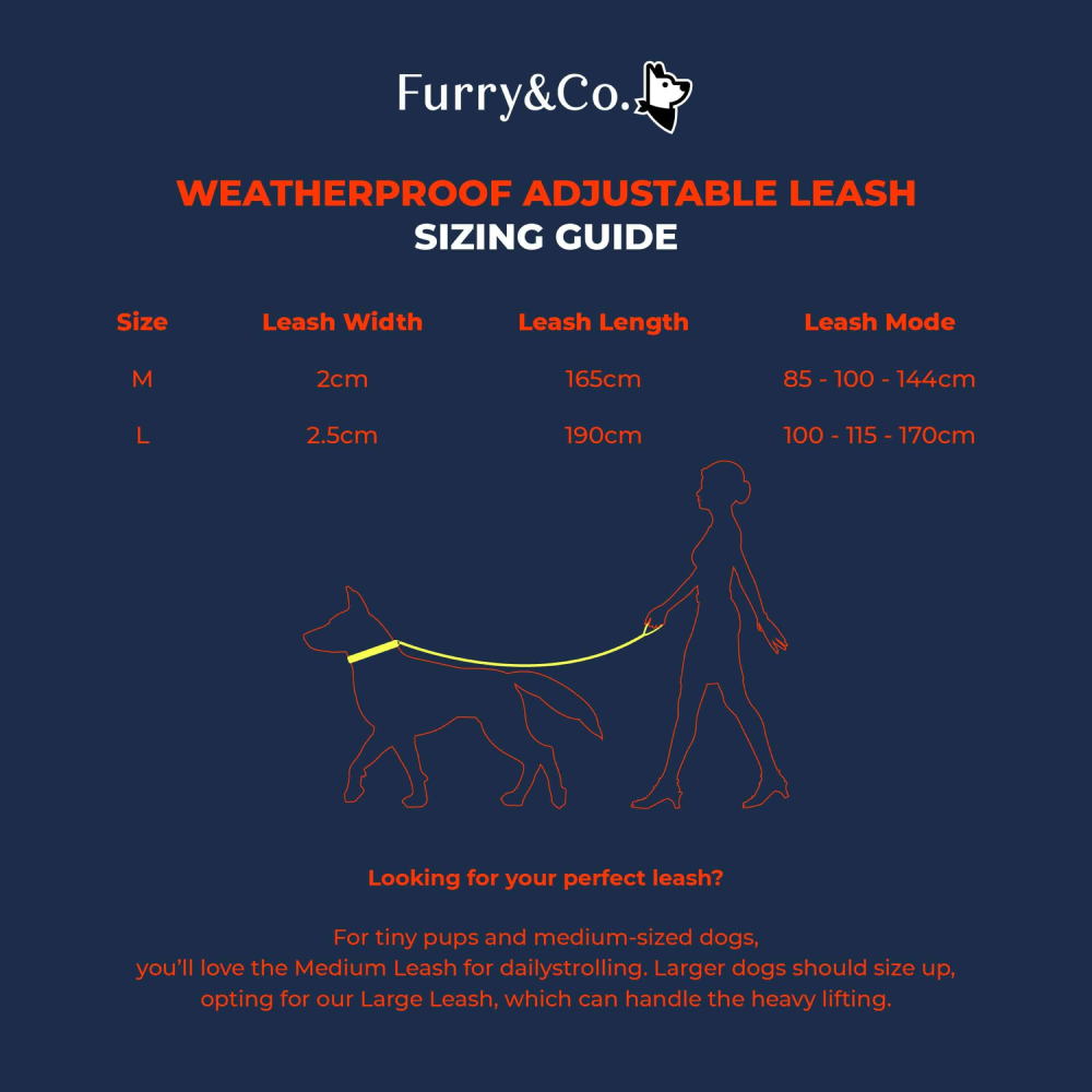 Furry & Co Weatherproof Leash for Dogs (Everest Blue) image 8