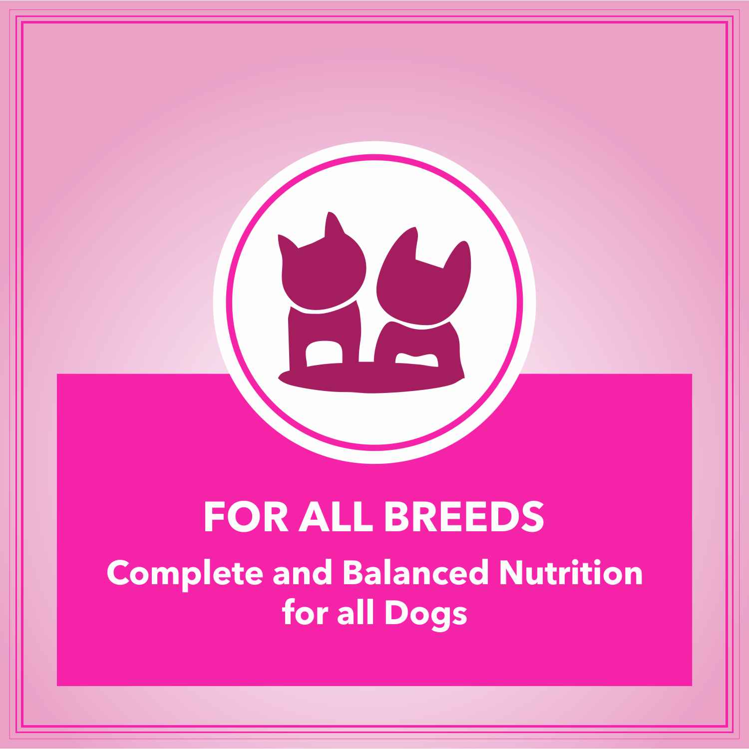 Let's Bite Active Adult Chicken Dry Food for Dogs (Limited Shelf Life) image 4