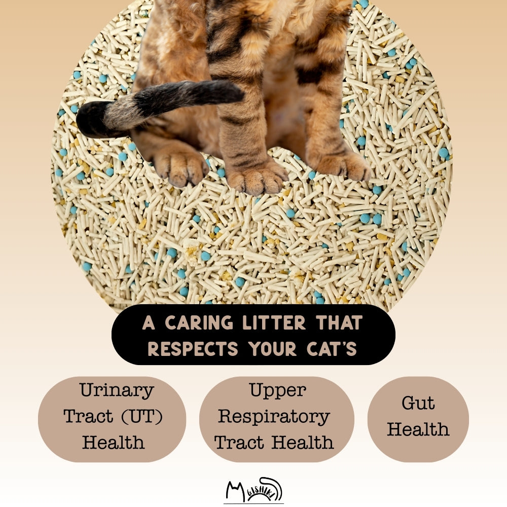 Gishiki Health Pro Premium Tofu Unscented Cat Litter with Add Ins image 5